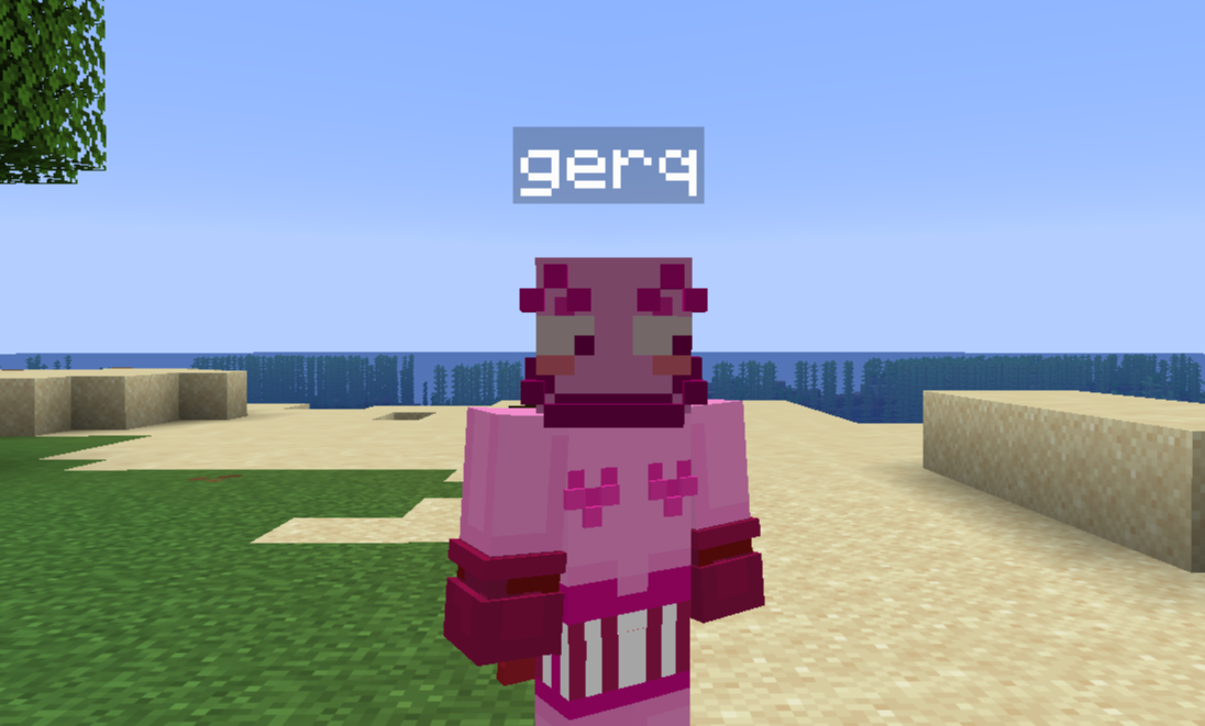 Helper Community Support